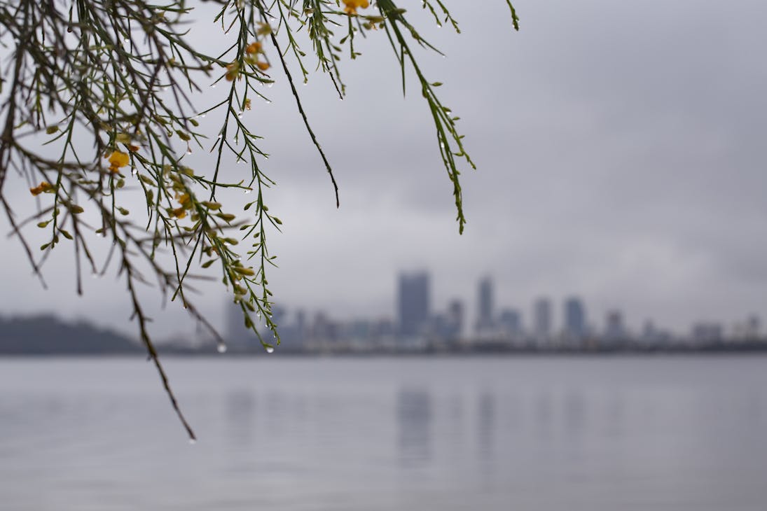 Perth city in the rain